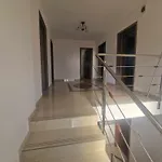 Homestay szállás Casa Mira Észak-Eforie